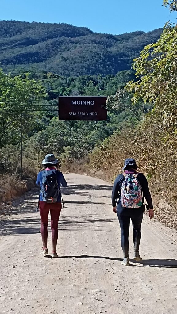 Pote de cerâmica com castanhas de Baru do Cerrado