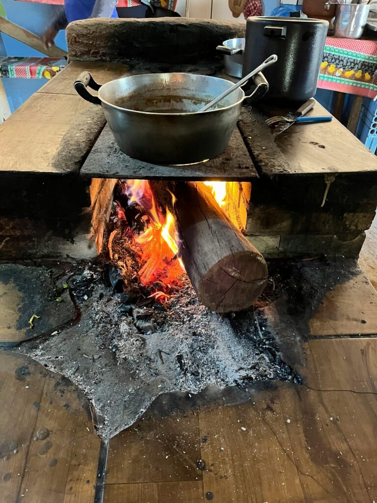 Prato de comida típica com pequi e arroz em Alto Paraíso de Goiás